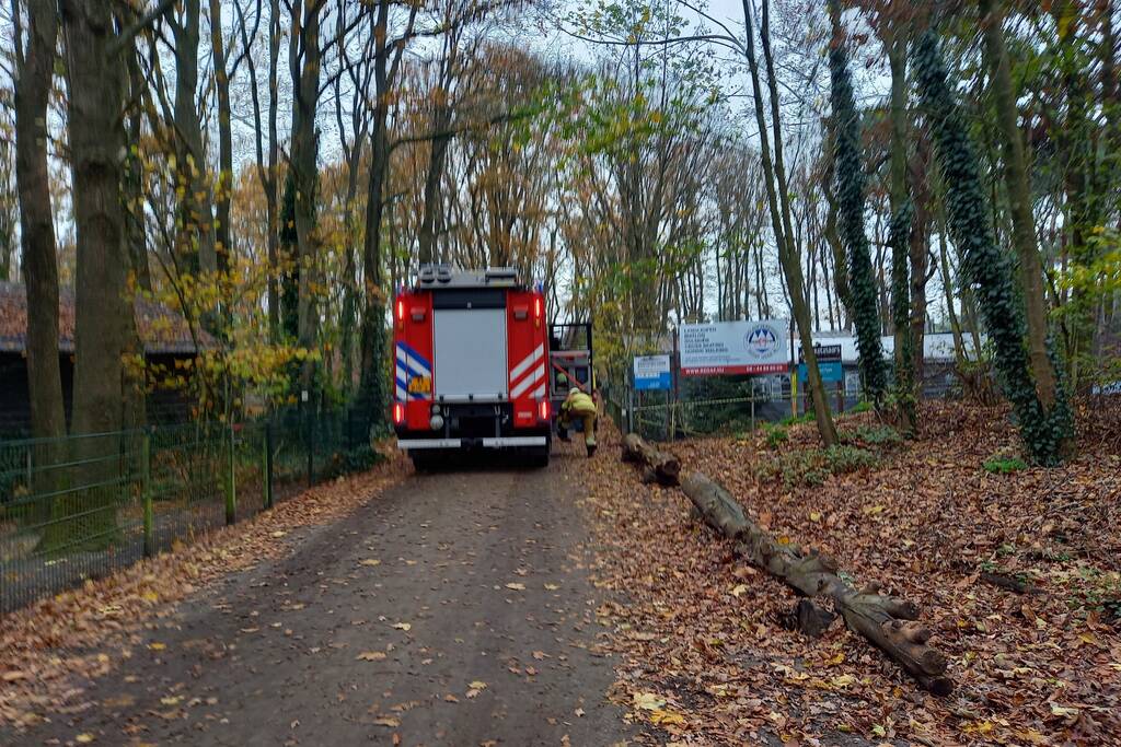 Persoon gewond na val van paard