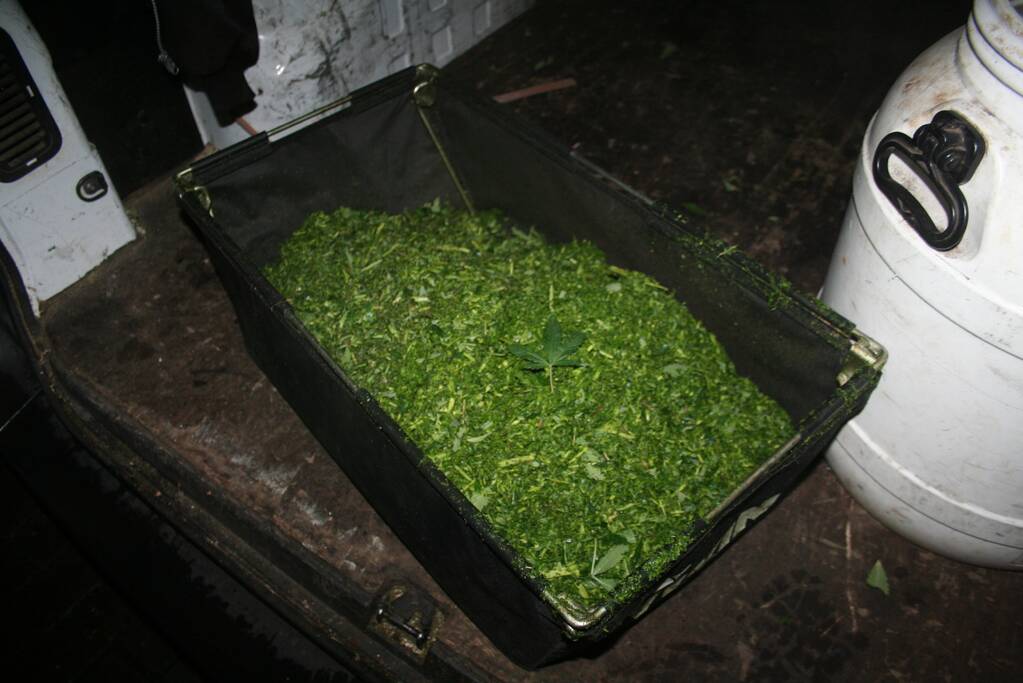 Hennepkwekerij aangetroffen in woning