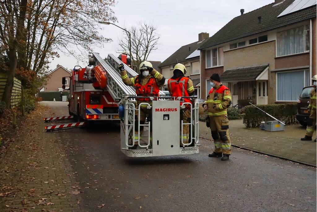 Brandweer ingezet voor kat in de boom