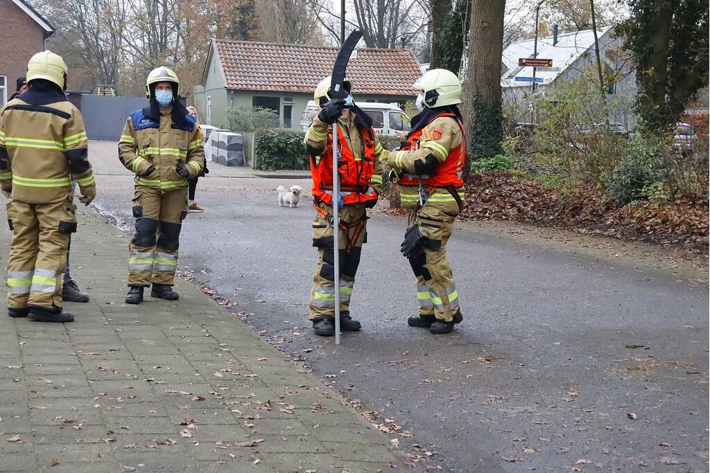 Brandweer ingezet voor kat in de boom
