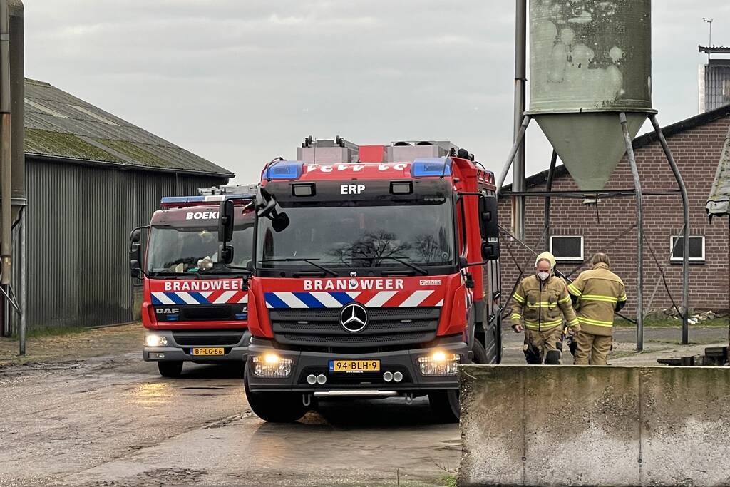 Drie pinken vallen in gierput
