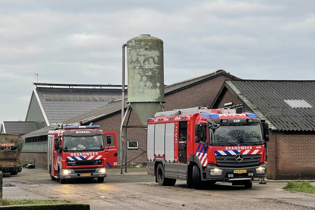 Drie pinken vallen in gierput