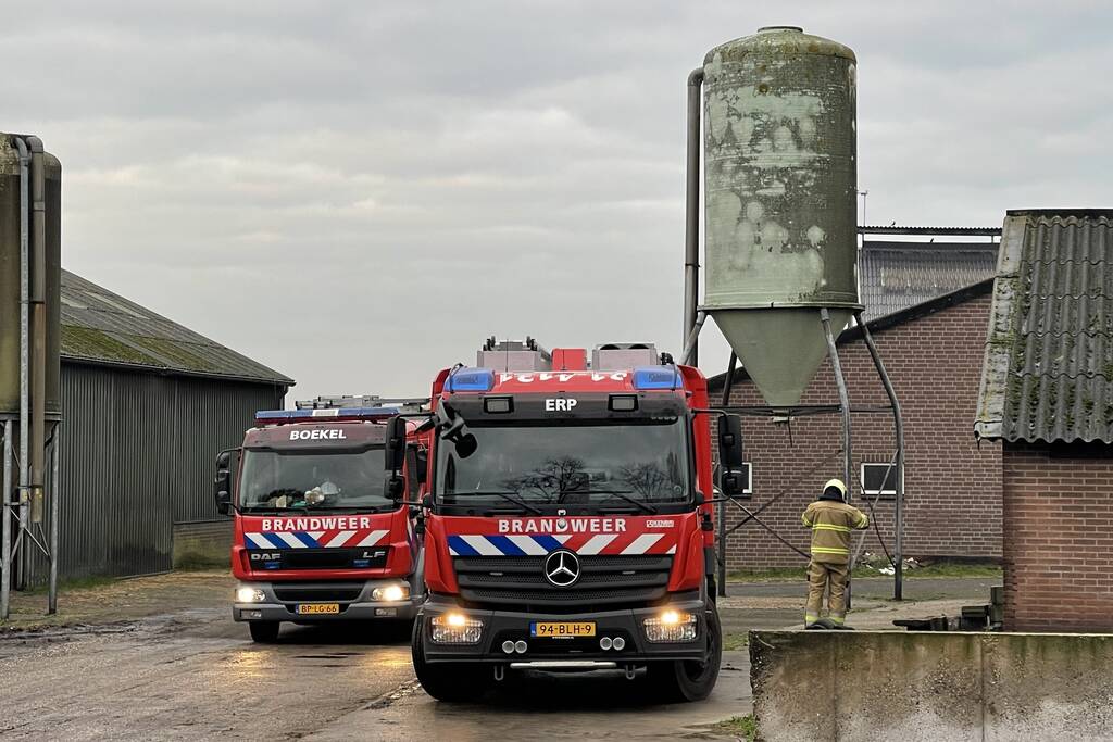 Drie pinken vallen in gierput