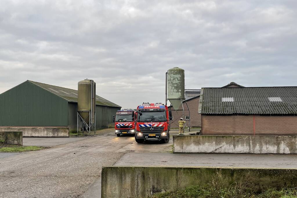 Drie pinken vallen in gierput