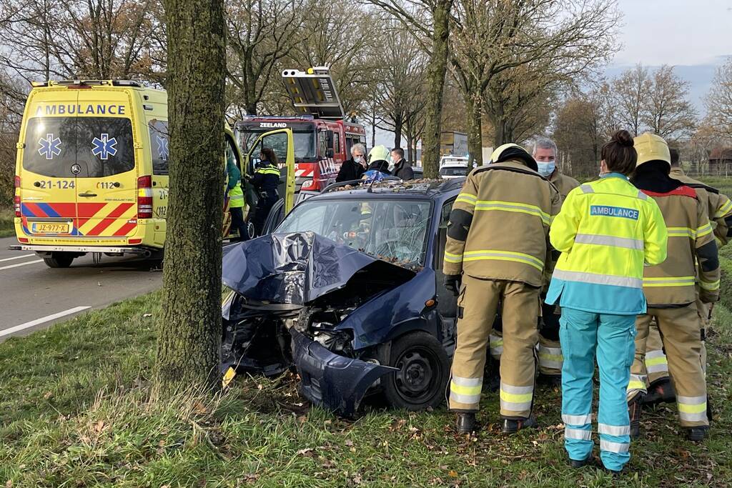 Auto botst frontaal op boom