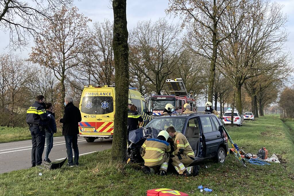 Auto botst frontaal op boom