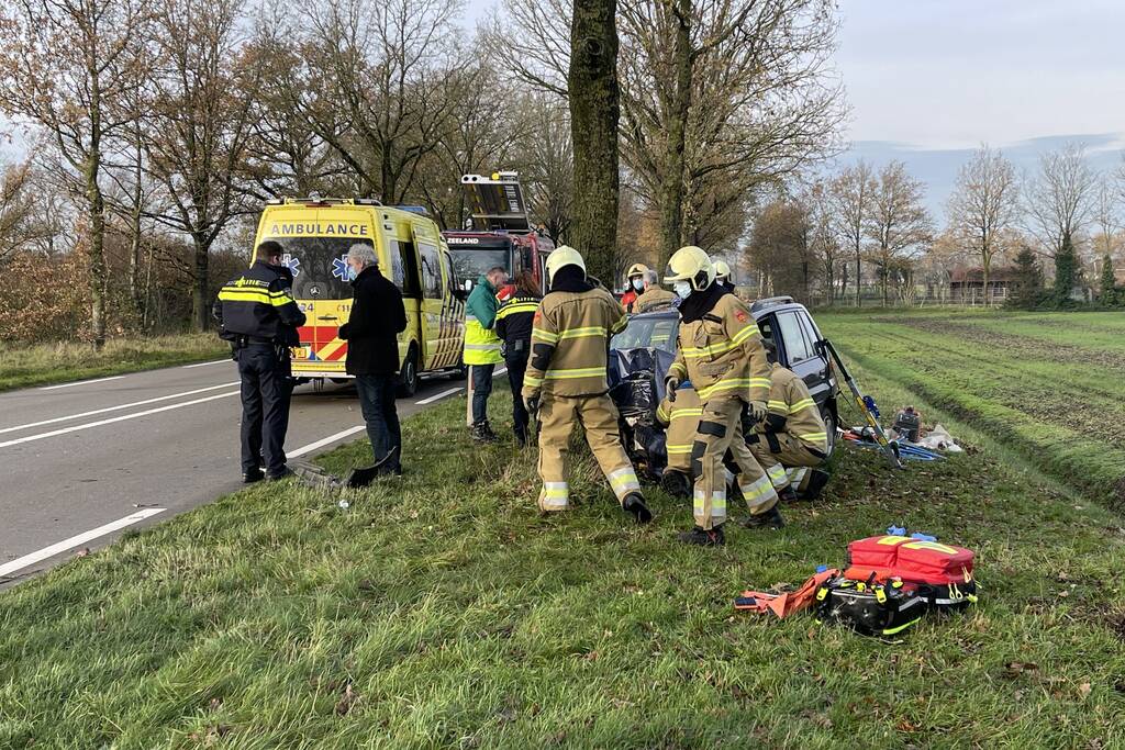 Auto botst frontaal op boom