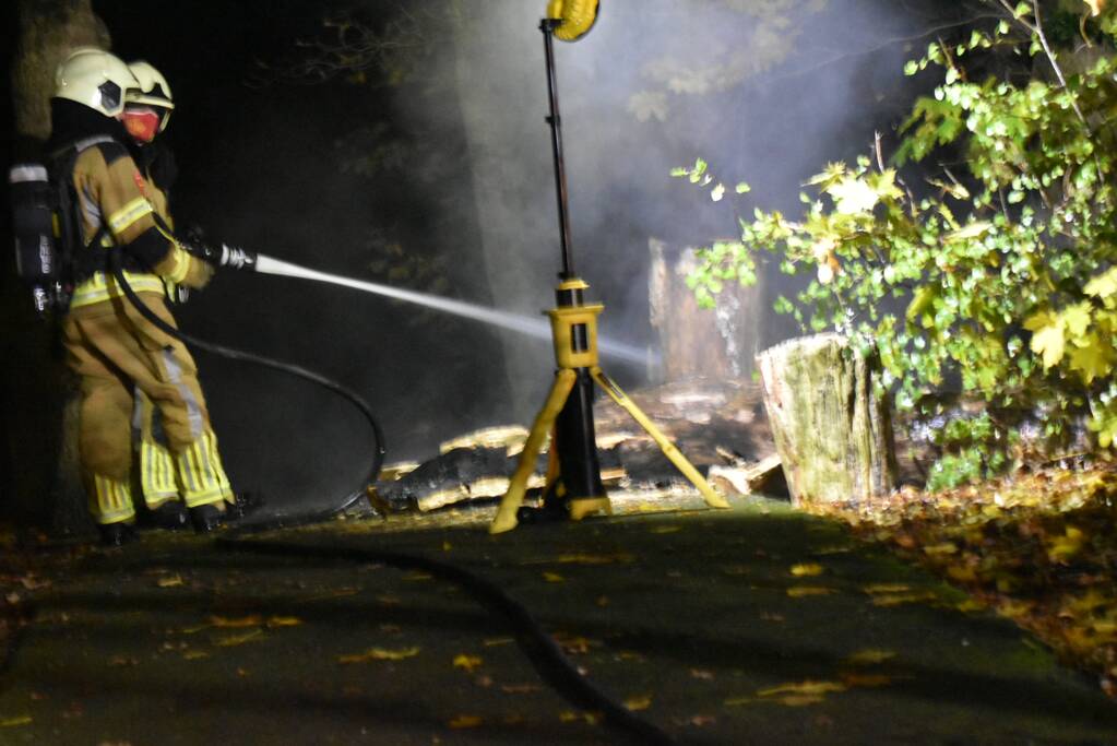 Brand in boom snel geblust