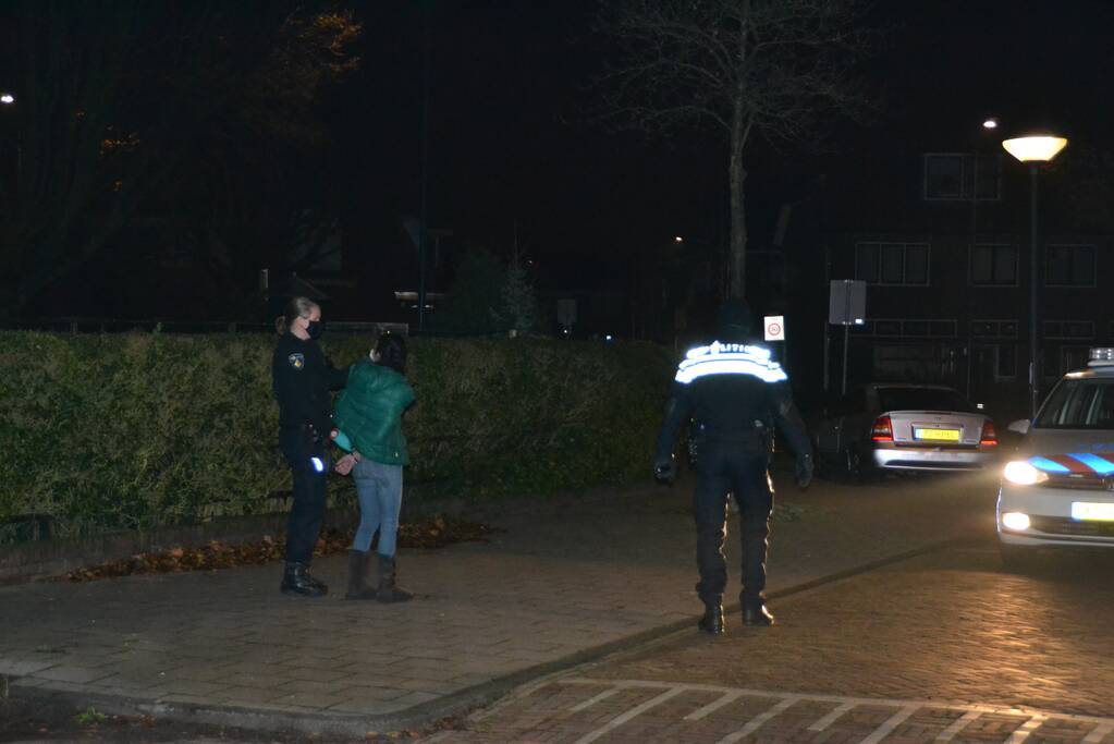Vrouw aangehouden na overval