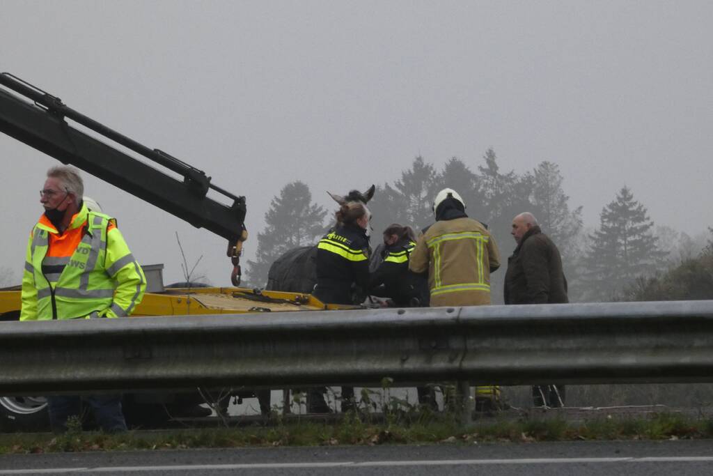 Paardentrailer belandt in sloot naast snelweg