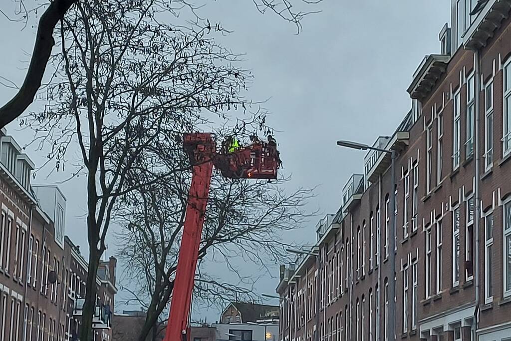 Persoon van dak gehaald