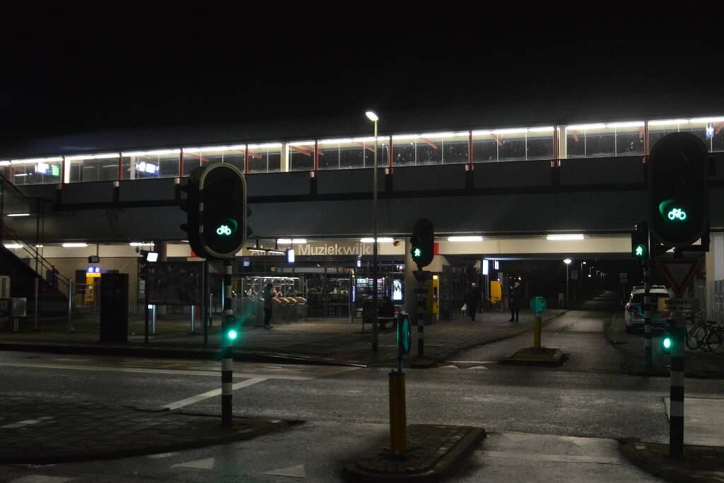 Treinverkeer ligt plat na aanrijding