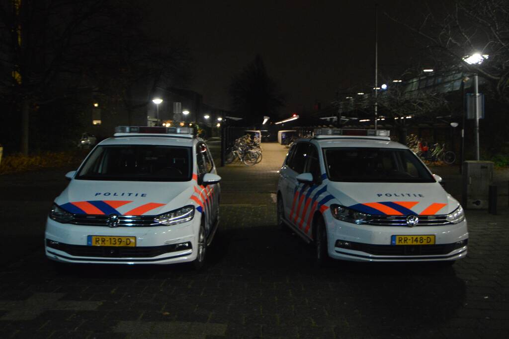 Treinverkeer ligt plat na aanrijding