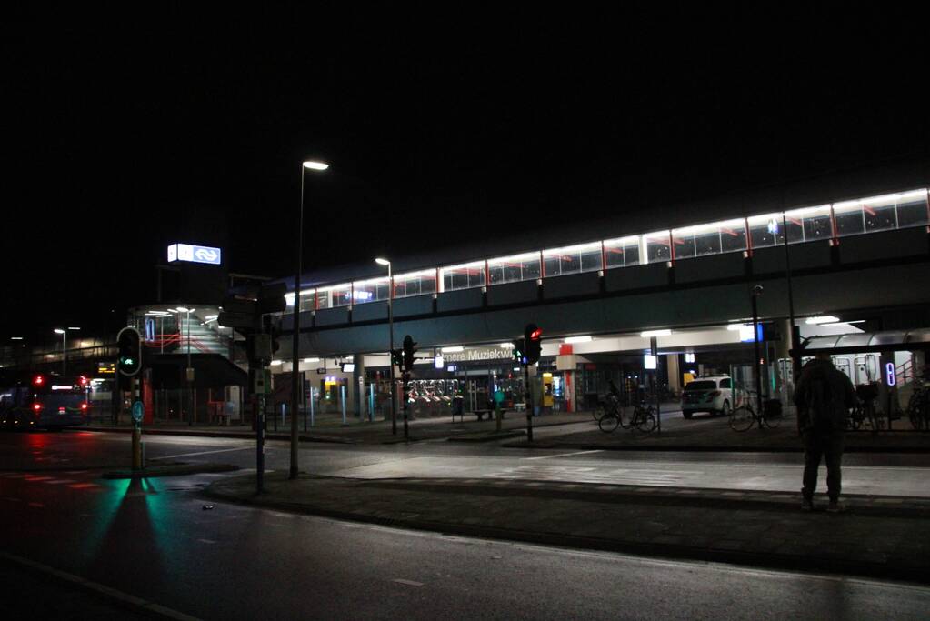 Treinverkeer ligt plat na aanrijding