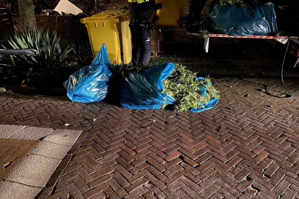 Wietplantage opgerold