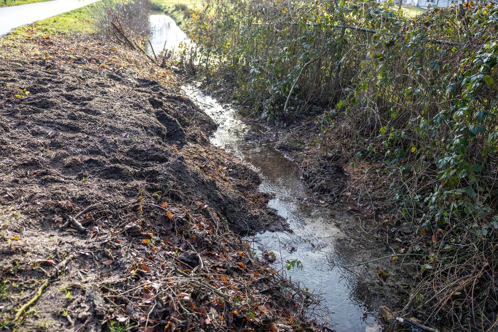 Waterleiding geraakt bij verwijderen van boom
