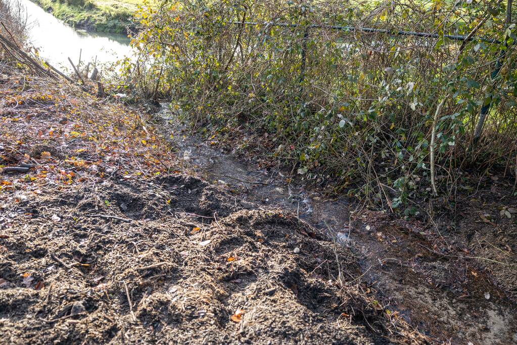 Waterleiding geraakt bij verwijderen van boom