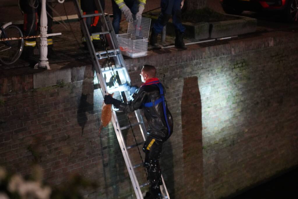 Brandweer redt kat uit het water