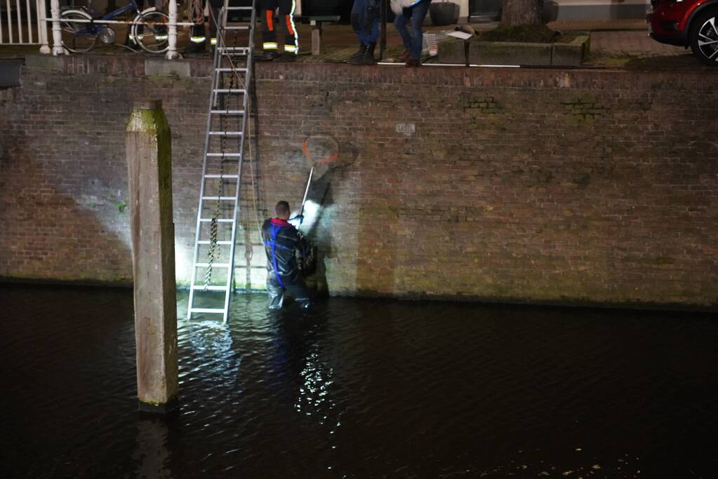 Brandweer redt kat uit het water