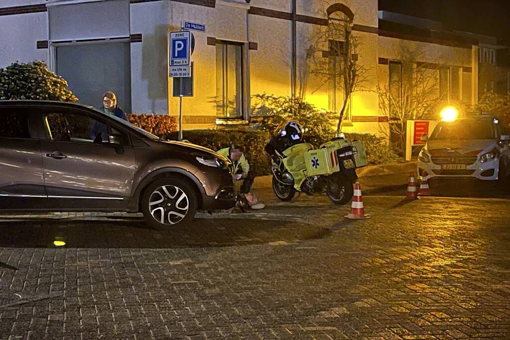 Voetganger met hond aangereden