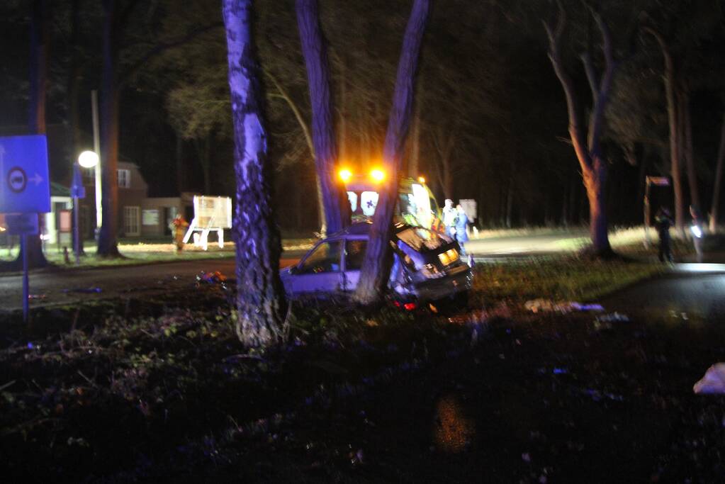 Auto knalt tegen lantaarnpaal en eindigt tegen een boom