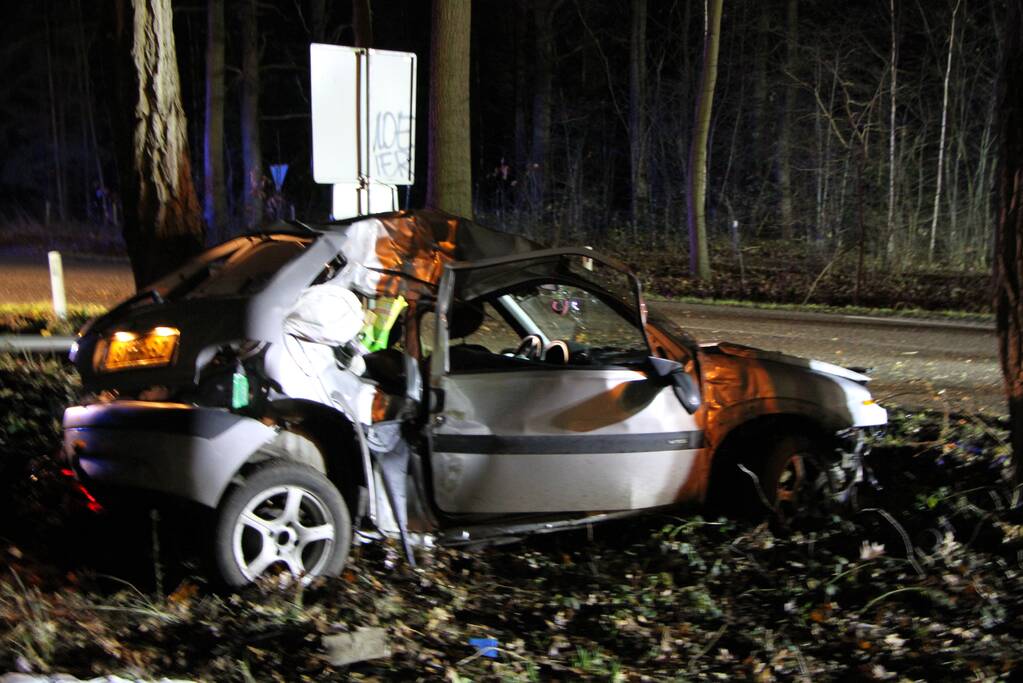 Auto knalt tegen lantaarnpaal en eindigt tegen een boom
