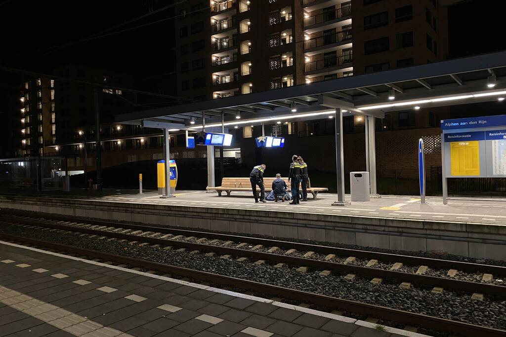 Politie doet meerdere aanhoudingen op NS-station