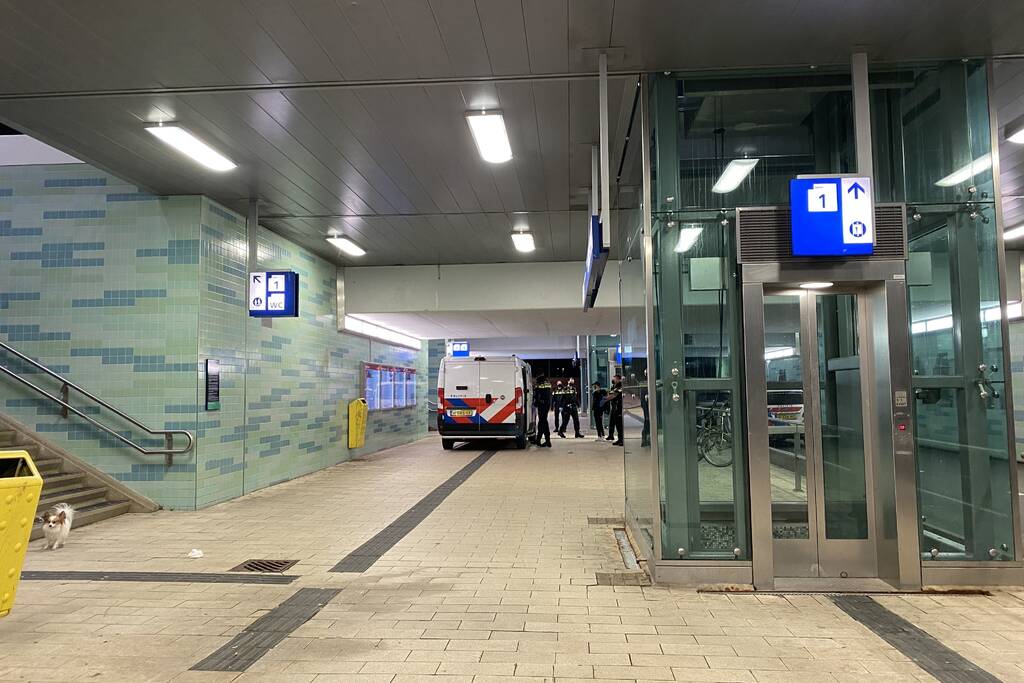 Politie doet meerdere aanhoudingen op NS-station