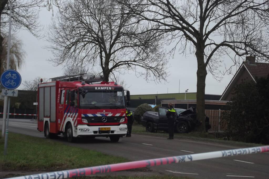 Pick-up truck eindigt tegen boom