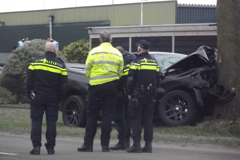 Pick-up truck eindigt tegen boom