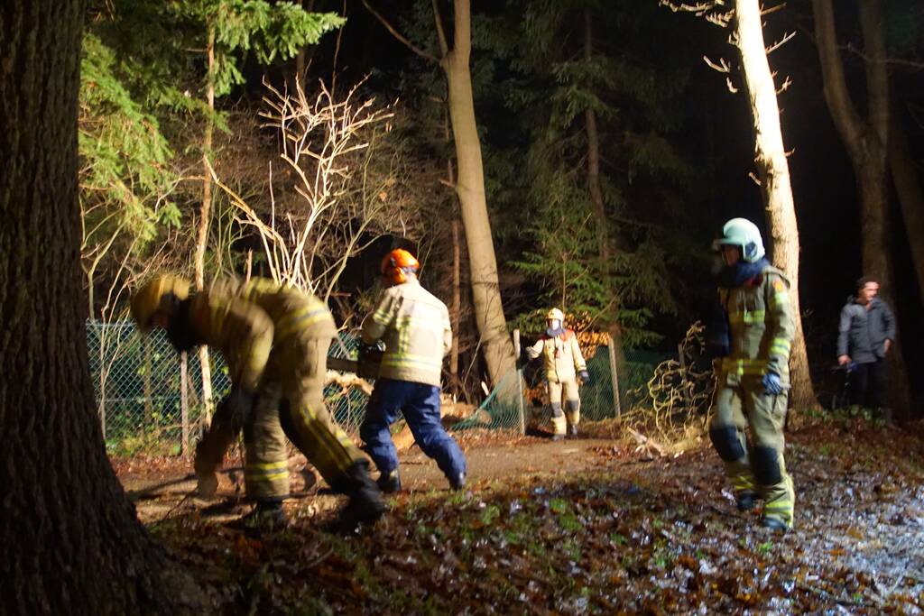 Stuk boom op fietspad gevallen