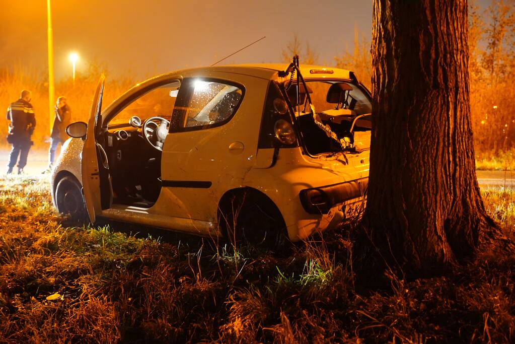 Auto achterstevoren tegen boom