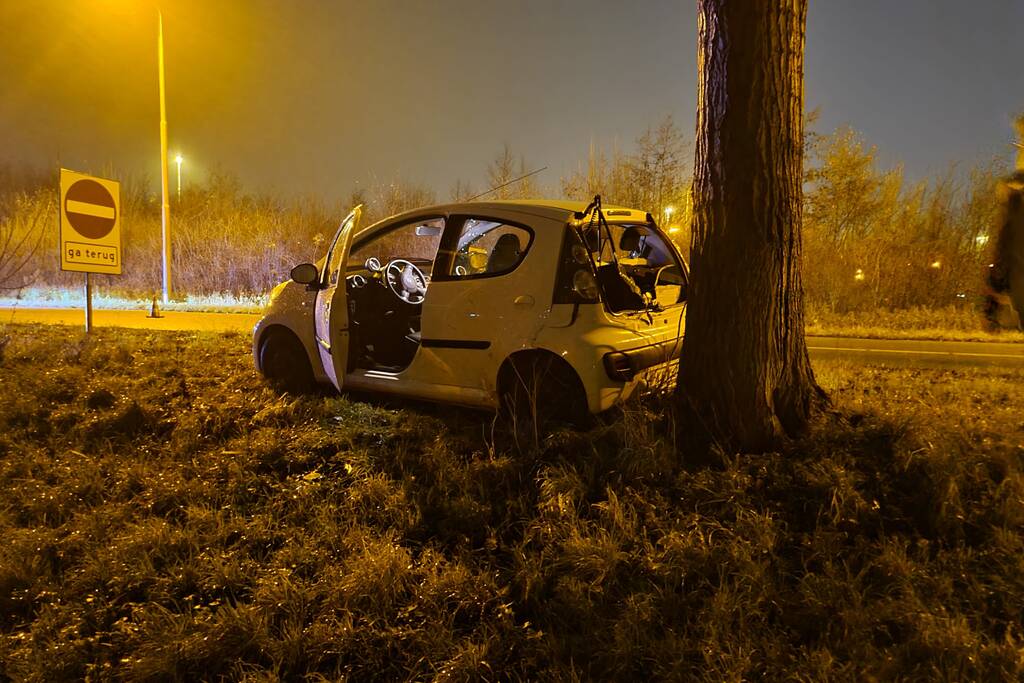 Auto achterstevoren tegen boom