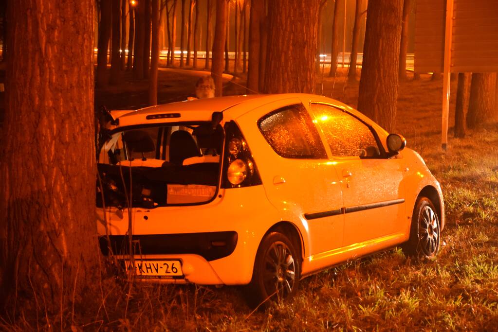 Auto achterstevoren tegen boom