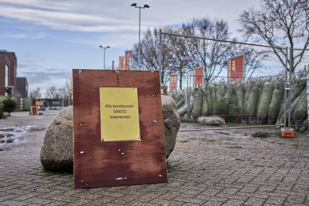 Op de valreep een kerstboom scoren