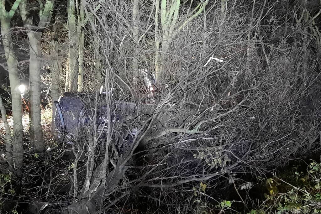 Auto uit de bocht gevlogen en in bosjes geëindigd