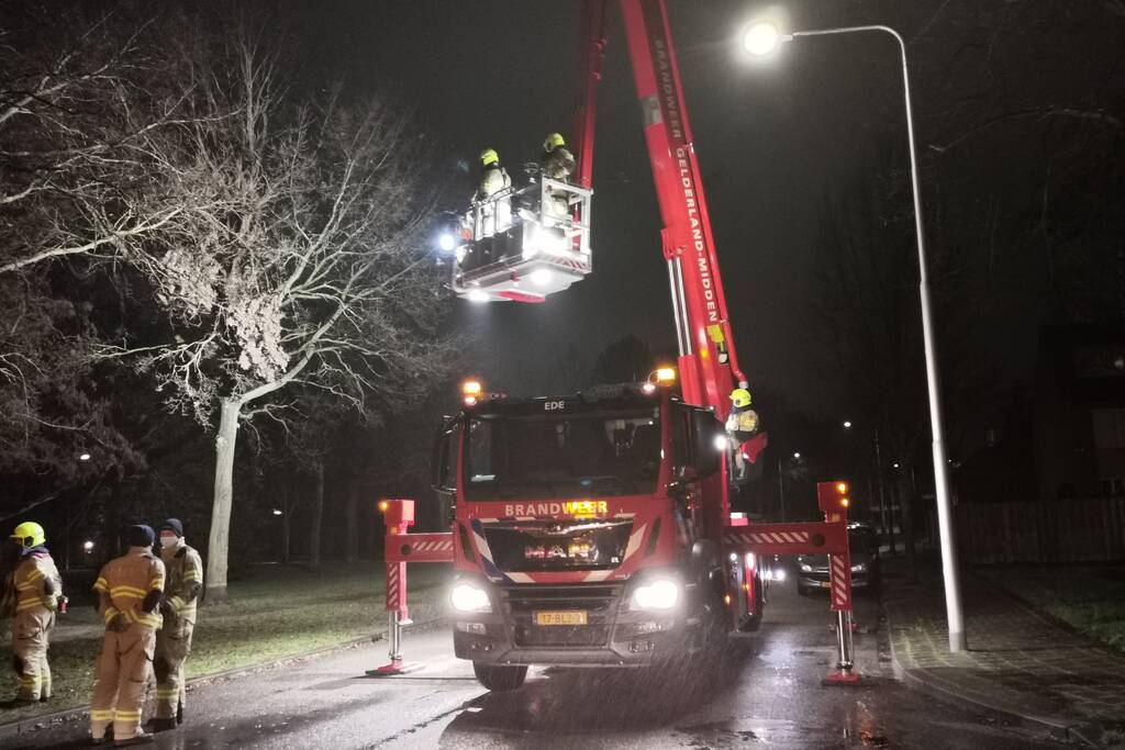 Tak dreigt uit boom te vallen