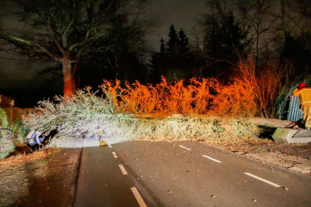 Omgewaaide boom blokkeert doorgaande weg