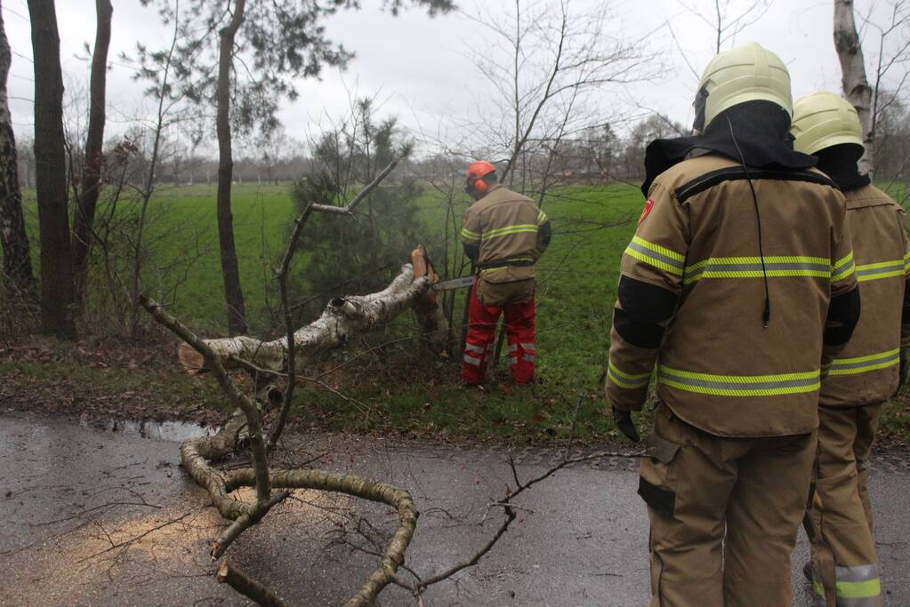 Boom omgewaaid door storm