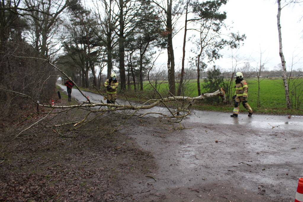 Boom omgewaaid door storm