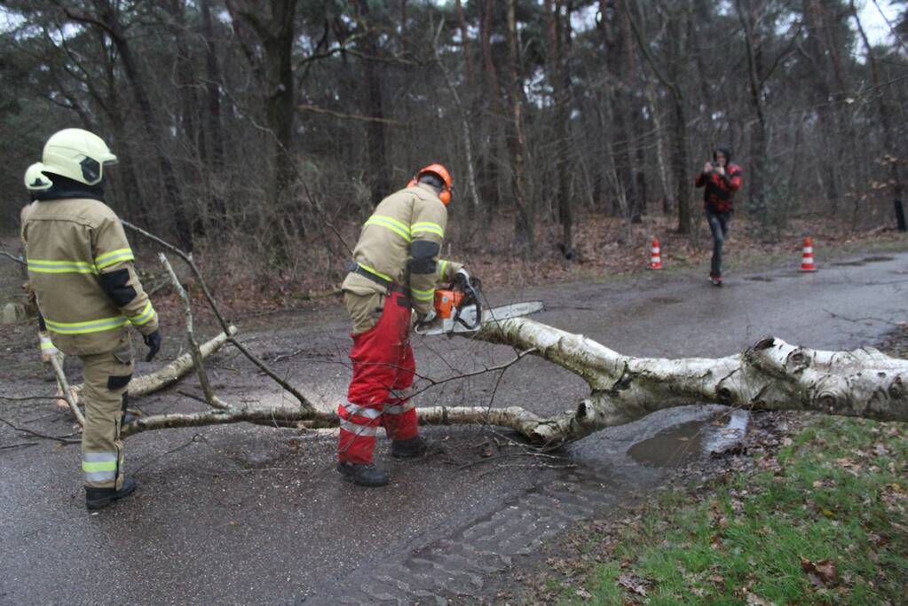 Boom omgewaaid door storm