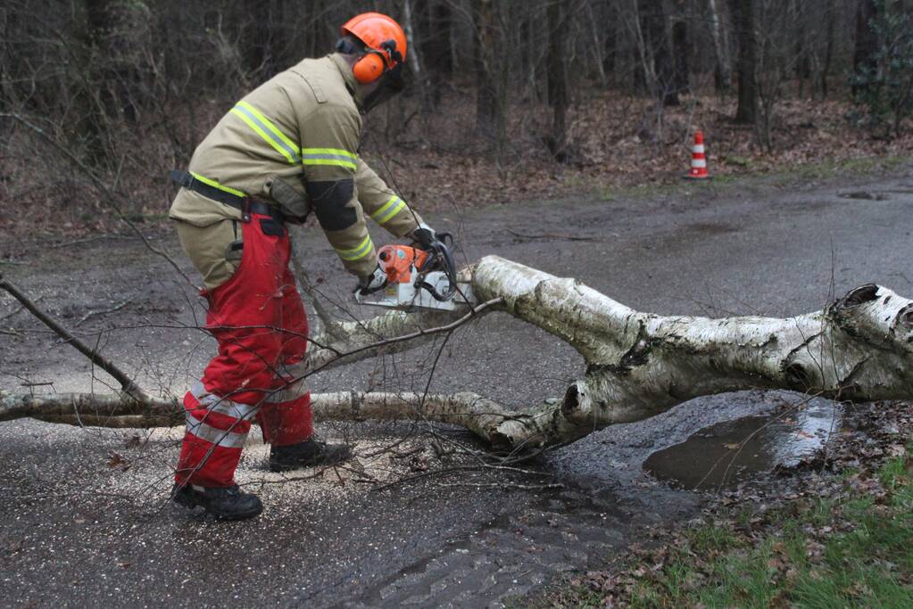 Boom omgewaaid door storm