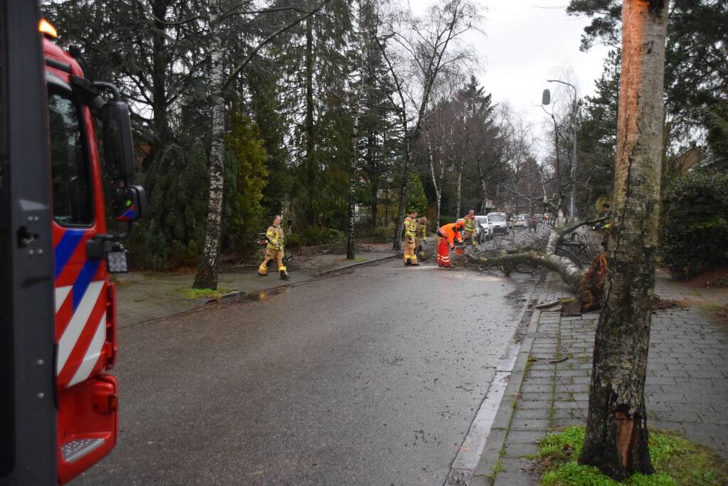 Omgewaaide boom blokkeert weg en sloopt lantaarnpaal