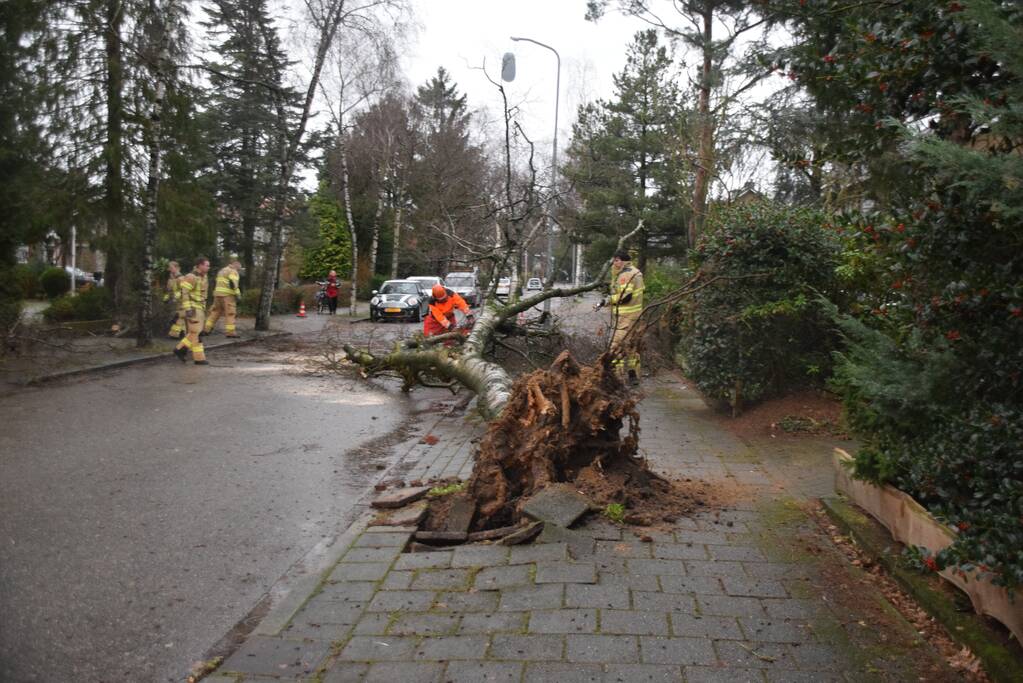 Omgewaaide boom blokkeert weg en sloopt lantaarnpaal