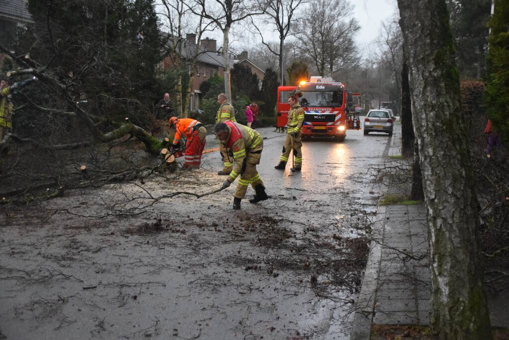 Omgewaaide boom blokkeert weg en sloopt lantaarnpaal