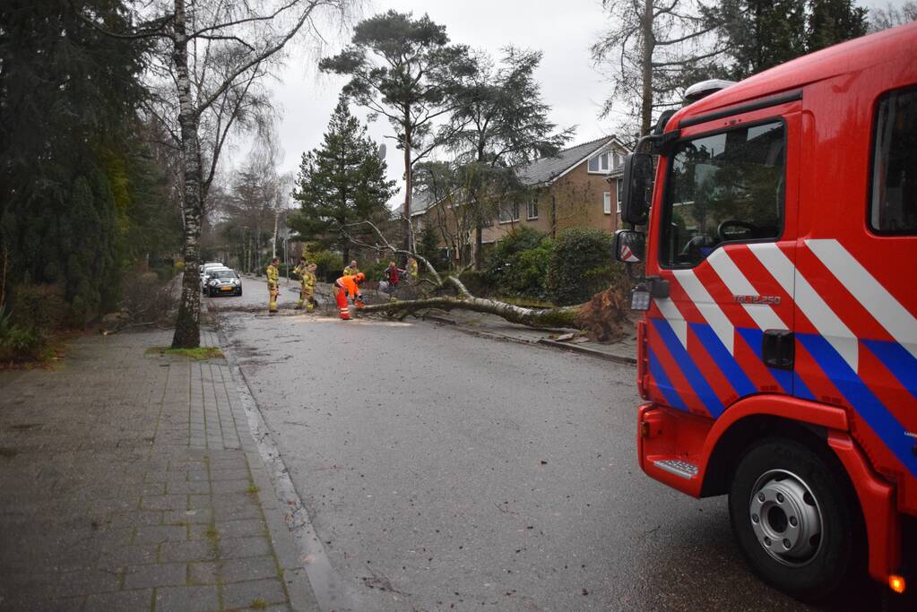 Omgewaaide boom blokkeert weg en sloopt lantaarnpaal