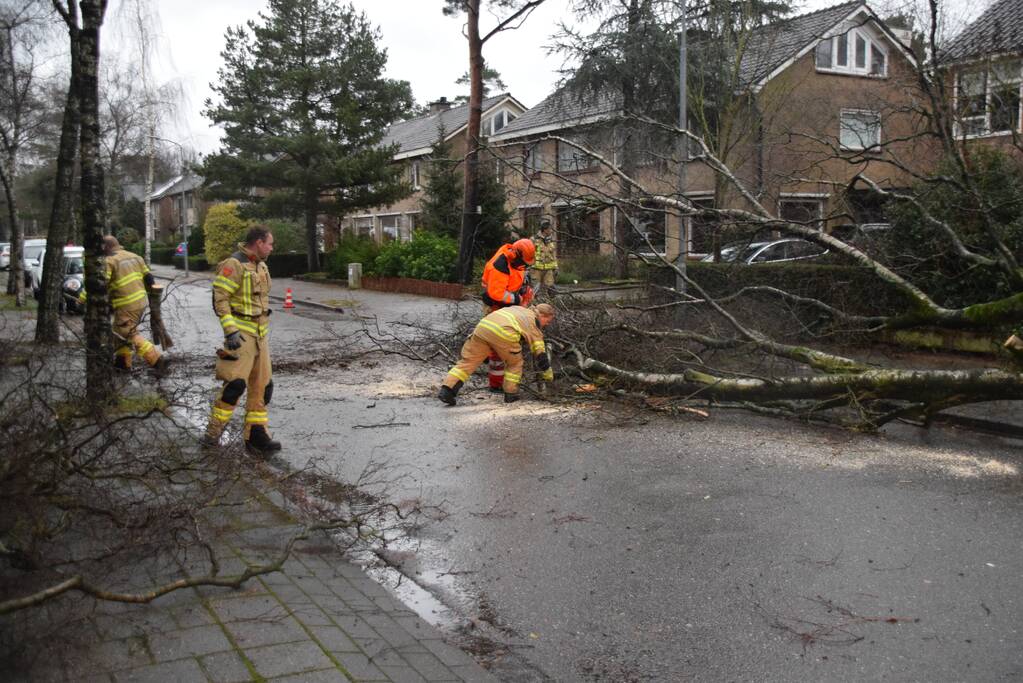 Omgewaaide boom blokkeert weg en sloopt lantaarnpaal