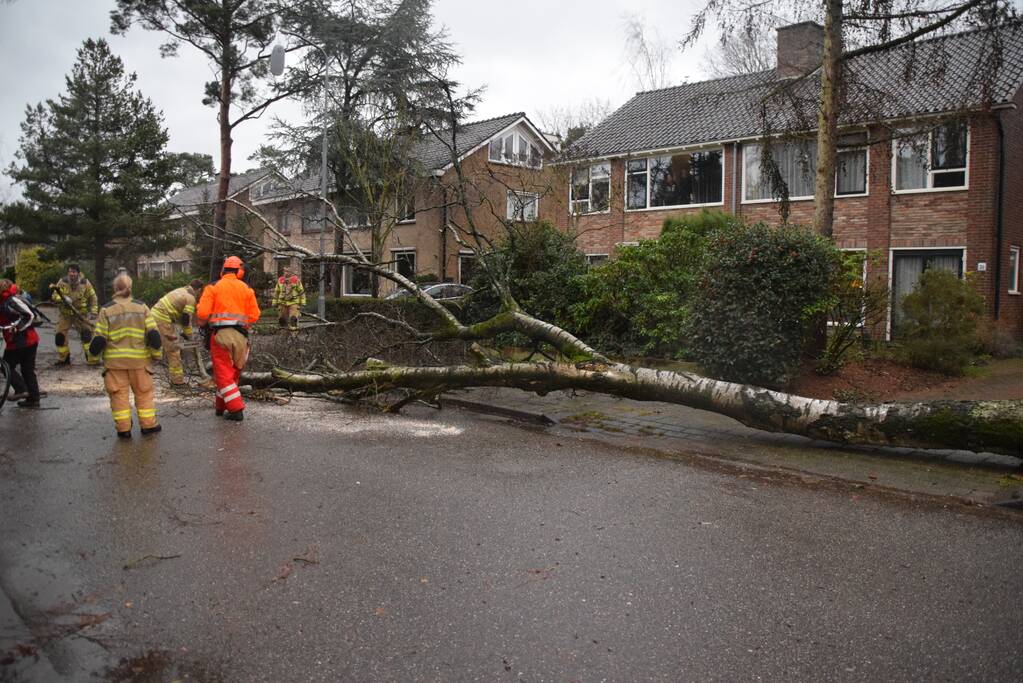 Omgewaaide boom blokkeert weg en sloopt lantaarnpaal