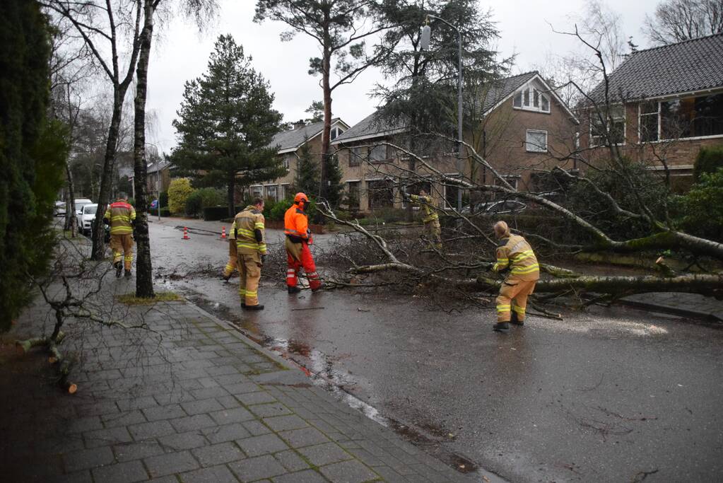 Omgewaaide boom blokkeert weg en sloopt lantaarnpaal