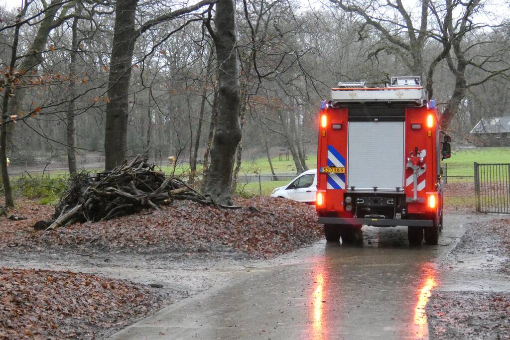 Brandweer ingezet voor omgewaaide boom
